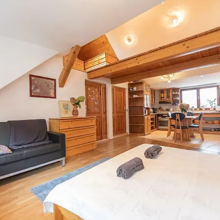 Romanticke V Podkrovi Idealne Pre Pary Alebo Rodinku-self Check * 布拉迪斯拉发