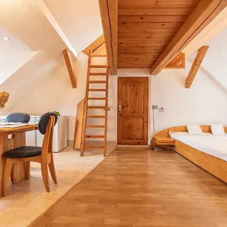 Apartmán Romanticke V Podkrovi Idealne Pre Pary Alebo Rodinku-self Check Bratislava