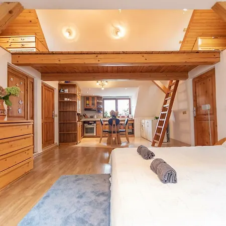 Apartament Romanticke V Podkrovi Idealne Pre Pary Alebo Rodinku-self Check Bratislava