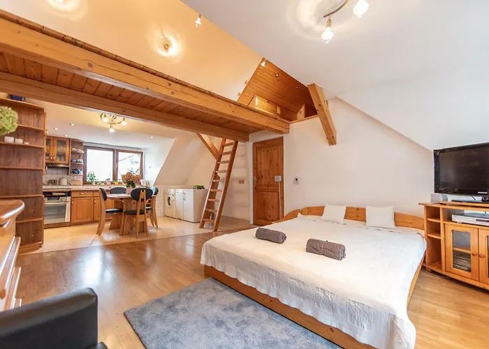 Appartement Romantické V Podkroví Ideálne Pre Páry Alebo Rodinku-self Check Bratislava