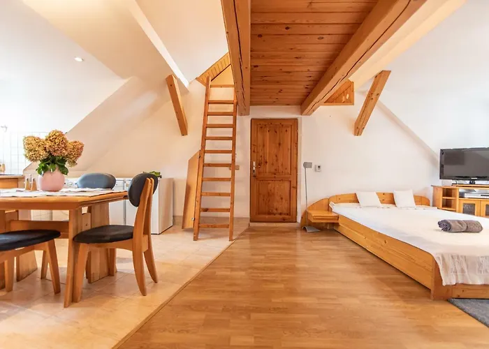 Appartement Romantické V Podkroví Ideálne Pre Páry Alebo Rodinku-self Check Bratislava