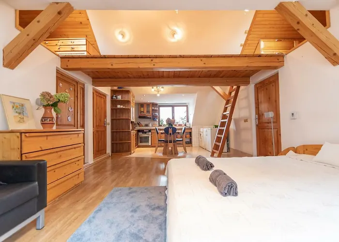 Appartement Romanticke V Podkrovi Idealne Pre Pary Alebo Rodinku-self Check Bratislava