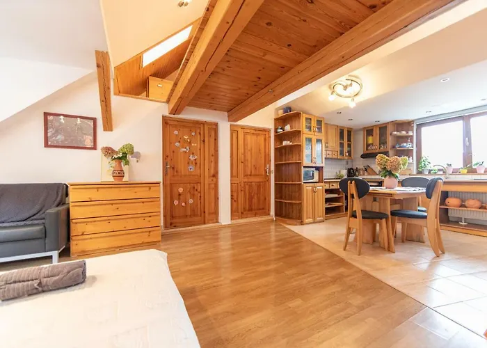 Romanticke V Podkrovi Idealne Pre Pary Alebo Rodinku-self Check ブラチスラヴァ